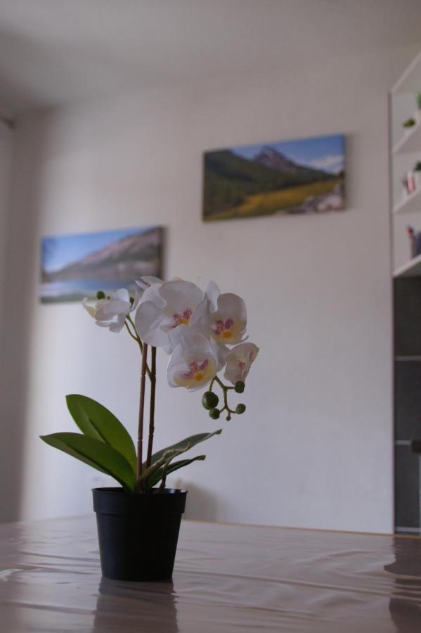 Le Guisanel Appartement Briançon Buitenkant foto